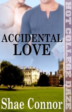 Couverture de Accidental Love