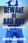 Beware of Bad Boy, Tome 1 : Beware of Bad Boy