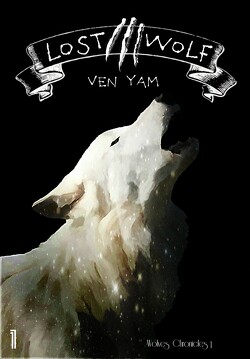 Couverture de Wolves Chronicles, Tome 1 : Lost Wolf