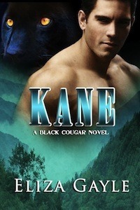 Couverture de Southern Shifters, Tome 2 : Kane