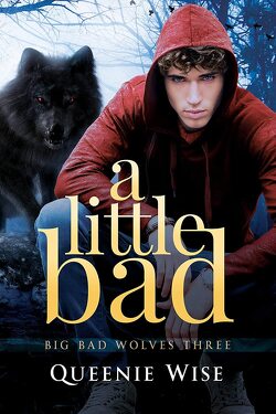 Couverture de Big Bad Wolves, Tome 3 : A Little Bad