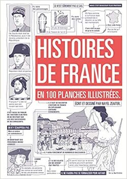 Couverture de Histoires de France: en 100 planches illustrées