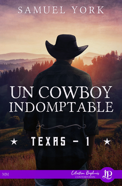 Couverture de Texas, Tome 1 : Un cowboy indomptable
