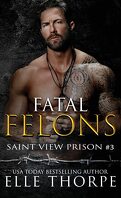 Saint View Prison, Tome 3: Fatal Felons