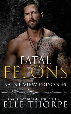Couverture de Saint View Prison, Tome 3: Fatal Felons