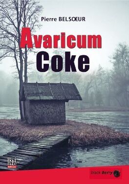 Couverture du livre : Avaricum coke