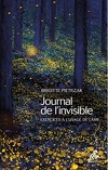 journal de l'invisible