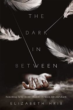 Couverture de The Dark In-Between