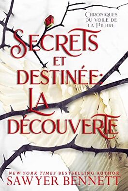 Couverture du livre : Chronicles of The Stone Veil, Tome 2 : A Discovery of Secrets and Fate