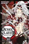 couverture Demon Slayer, Tome 22