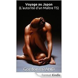 Couverture de L'autorité d'un Maître, tome 5 : Voyage au Japon