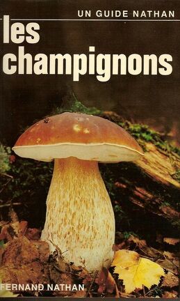 Les champignons - Livre de Giovanni Pacioni