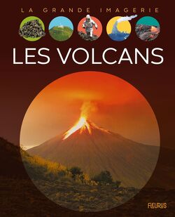 Couverture de Les Volcans