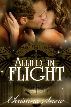 Couverture de Through the Veil, Tome 2 : Allied in Flight
