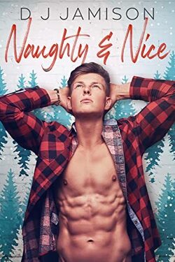 Couverture de Love Notes, Tome 2 : Naughty and Nice