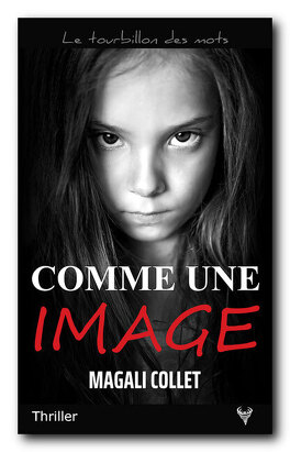 Comme une image Comme_une_image-5033417-264-432
