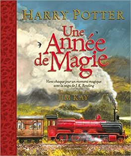 Couverture du livre Harry Potter - Une année de magie : Vivez chaque jour un moment magique