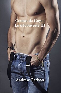 Couverture de Contes de gays : La Découverte, Tome 3