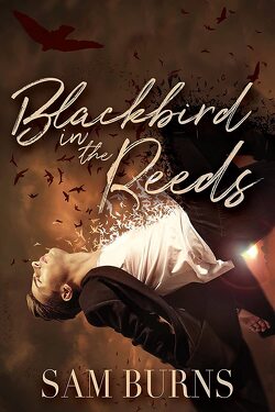 Couverture de The Rowan Harbor Cycle, Tome 1 : Blackbird in the Reeds