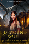 couverture Dragon Soul, Tome 1 : La Malédiction des flammes
