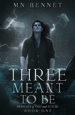 Couverture de Branches of Past and Future, Tome 1 : Three Meant To Be