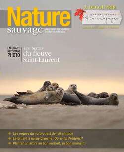 Couverture de Nature Sauvage, n°45 : Les berges du fleuve Saint-Laurent