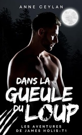 https://cdn1.booknode.com/book_cover/5304/mod11/les_aventures_de_james_holis_tome_1_dans_la_gueule_du_loup-5304236-264-432.jpg