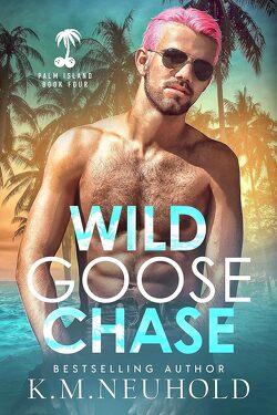 Couverture de Palm Island, Tome 4 : Wild Goose Chase
