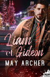 Tomber amoureux à O'Leary, Tome 5 : Liam et Gideon