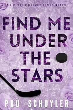 Couverture de Nighthawks, Tome 3 : Find Me Under the Stars