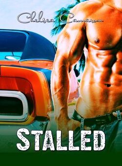 Couverture de Love & Repair, Tome 3.5 : Stalled