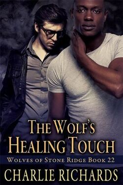 Couverture de Wolves of Stone Ridge, Tome 22 : The Wolf's Healing Touch