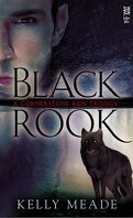 Cornerstone Run Trilogy, Tome 1 : Black Rook