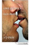 couverture Luke et Enrik Destin