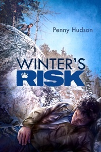 Couverture de Winter's Risk