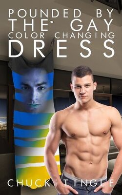 Couverture de Pounded By The Gay Color Changing Dress