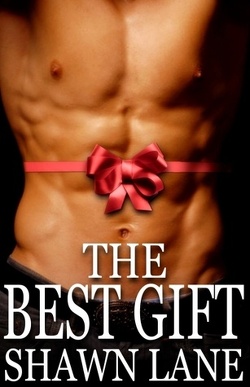 Couverture de The Best Gift, Tome 1