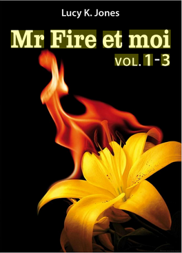 Couverture du livre : Mr Fire et moi - vol 1 à 3