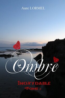 Couverture de Ombre, Tome 2 : Inoxydable