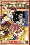 Fairy Tail, Tome 47