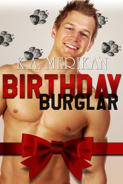 Couverture de Birthday Burglar
