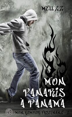 Couverture de Mon humour fascinant, tome 2 : Mon Panaris à Panamà