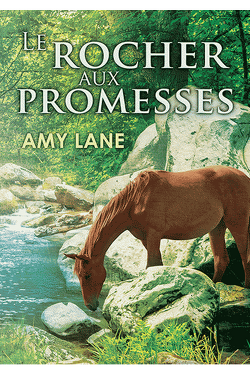 Couverture de Promesses, Tome 1 : Le Rocher aux Promesses