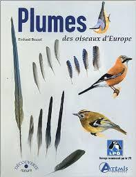Couverture de Plumes des oiseaux d'Europe