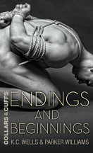 Colliers et menottes, Tome 8 : Endings and Beginnings