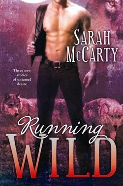 Couverture de Wild #1-3 : Running Wild