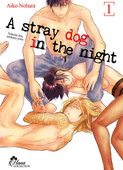 Couverture de A stray dog in the night, Tome 1