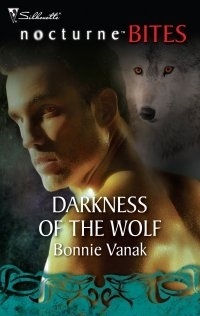 Couverture de Draicon, Tome 4 : Darkness of the Wolf