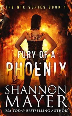 Couverture de The Nix series, Tome 1 : Fury of a phoenix