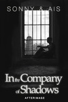 couverture In the Company of Shadows, tome 2 : Afterimage